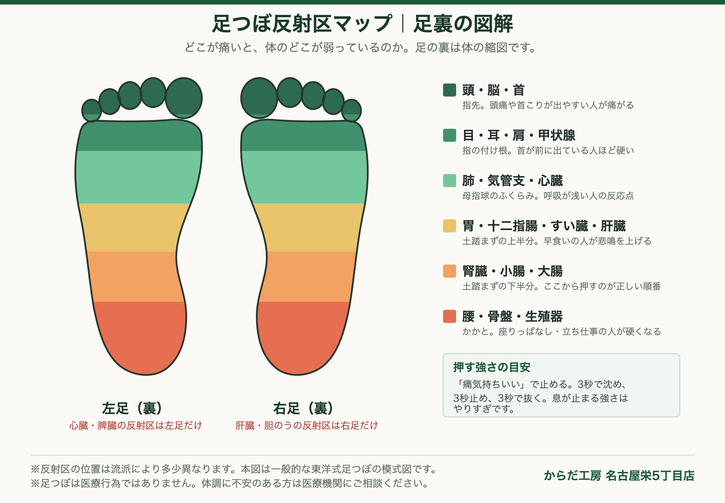 足つぼ反射区マップ 足裏の図解 足つぼ反射区マップの図解|足裏のどこが痛いと体のどこが弱っているかを示した図